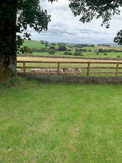 Ivy House Farm, Near Longnor Villa Longnor  Eksteriør billede